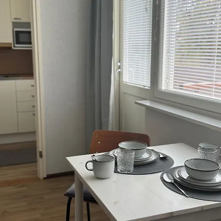 아파트 Parvekkeellinen Yksioe Autopaikalla